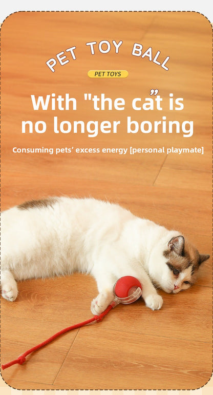 Automatic Interactive Dog & Cat Toy Ball – Durable Smart Rolling Ball for Self-Entertainment & Exercise